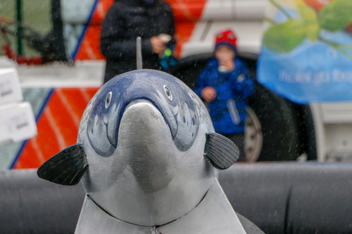 Lakse-rodeoen var populær.