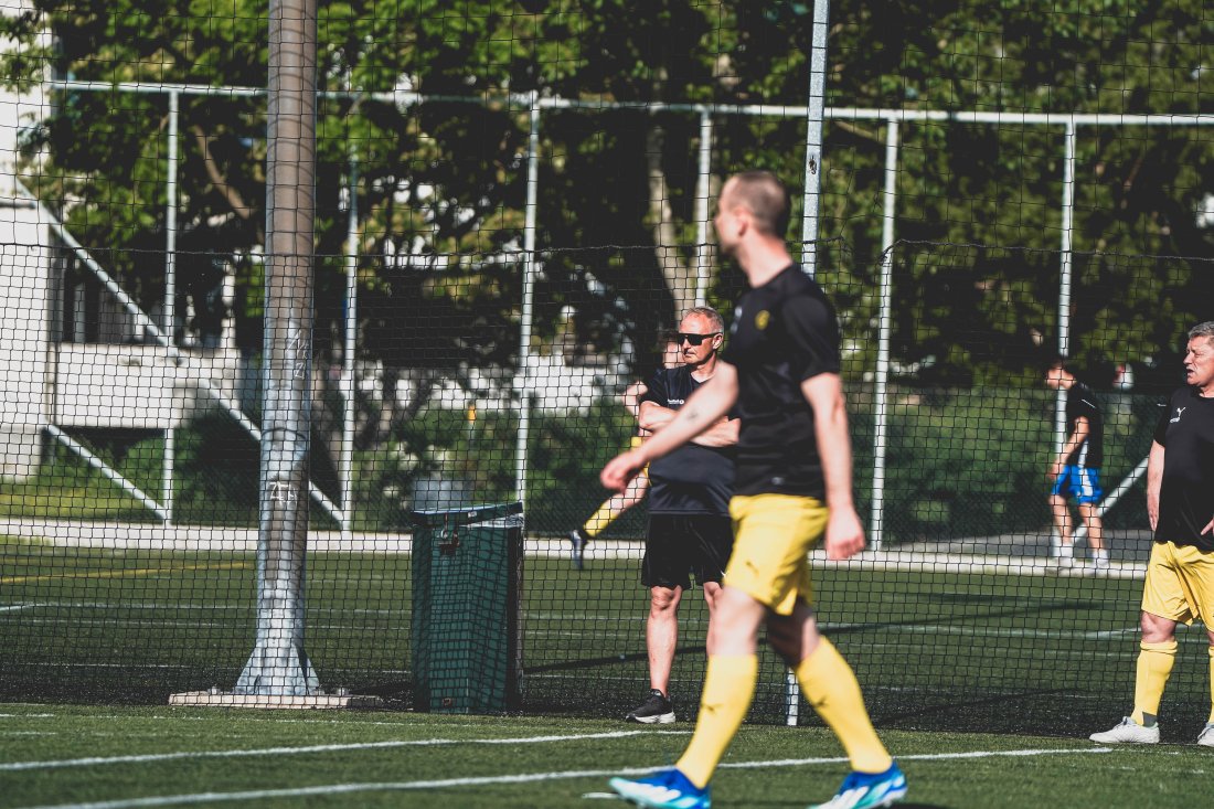 Glimtvis i aksjon